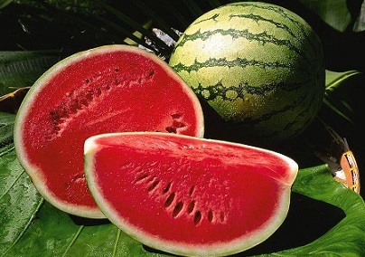 Watermelon – Raha F1 (Oval)